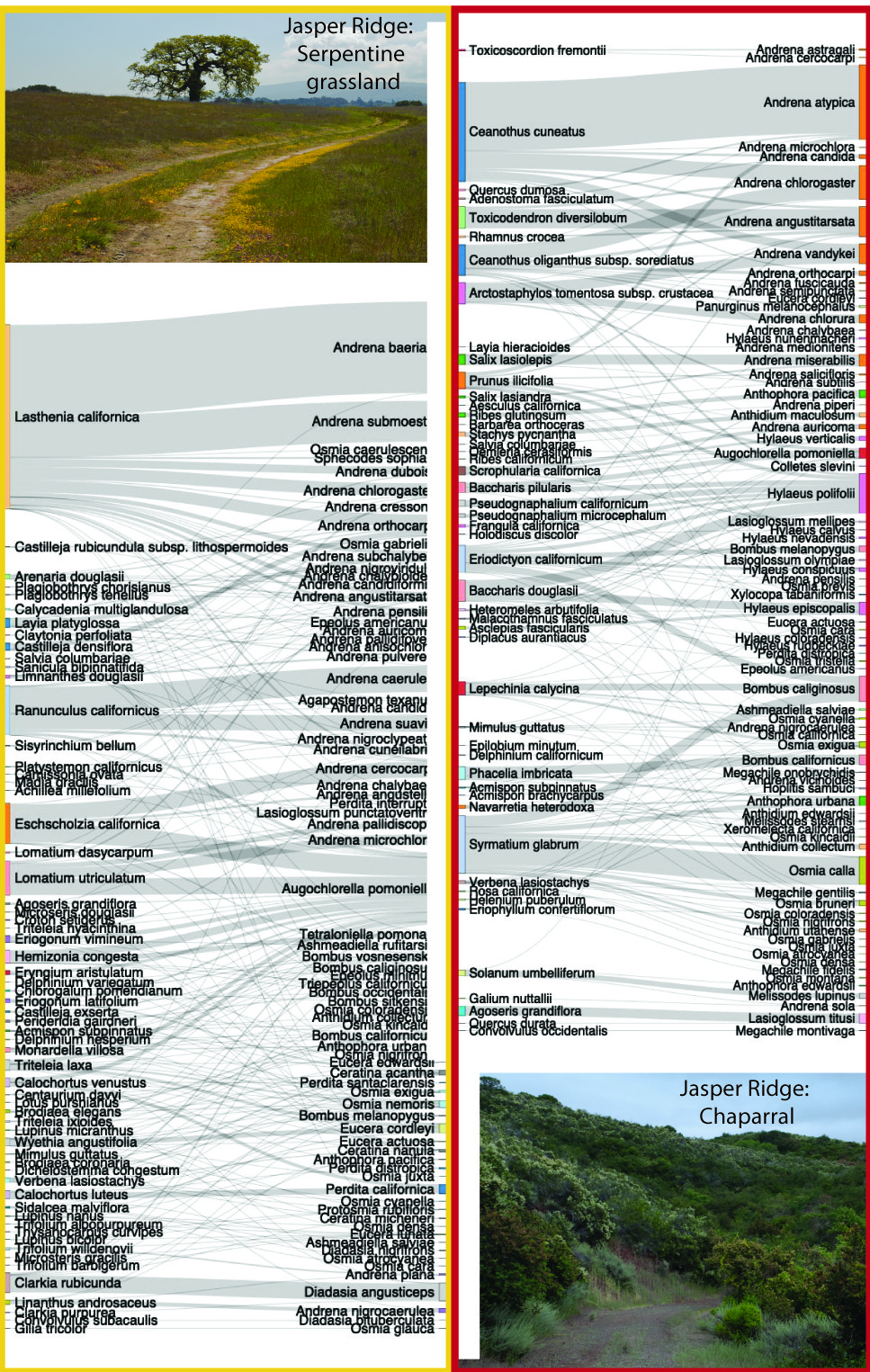 Plant–pollinator networks and survey habitats at Jasper Ridge, California